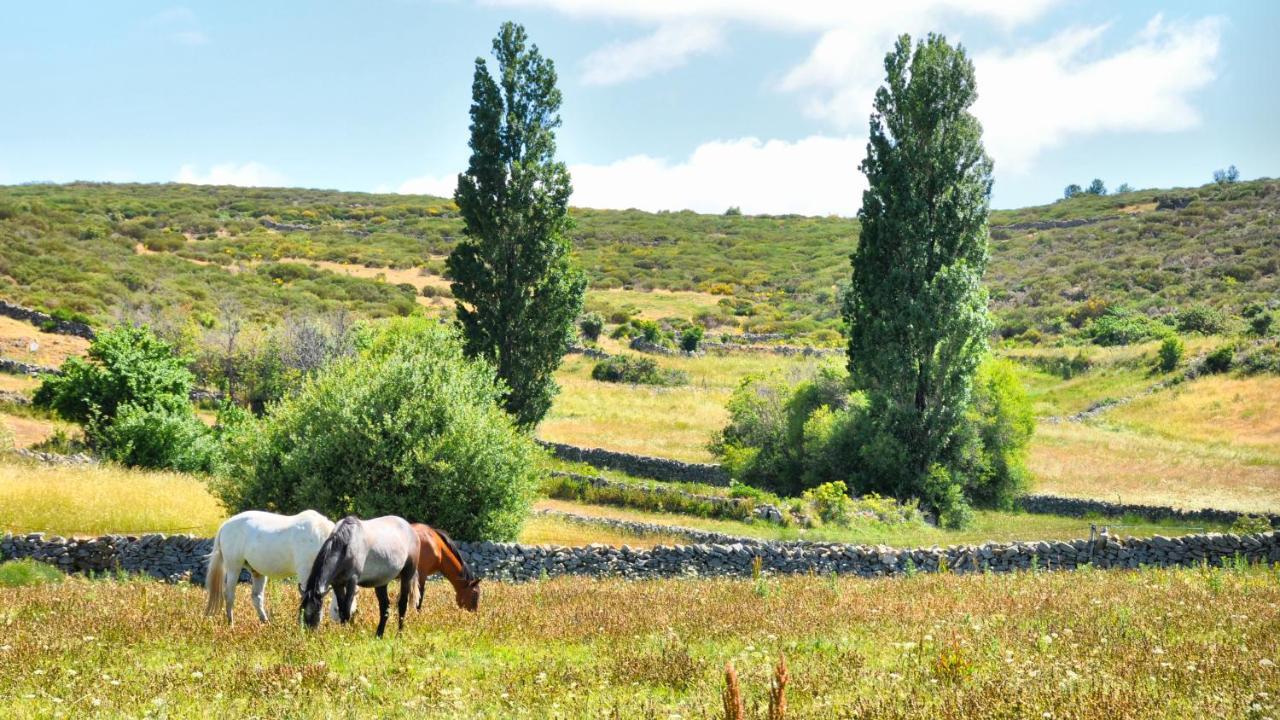Hotel Casa Rural Spa La Villa Ávila Kültér fotó